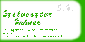 szilveszter hahner business card